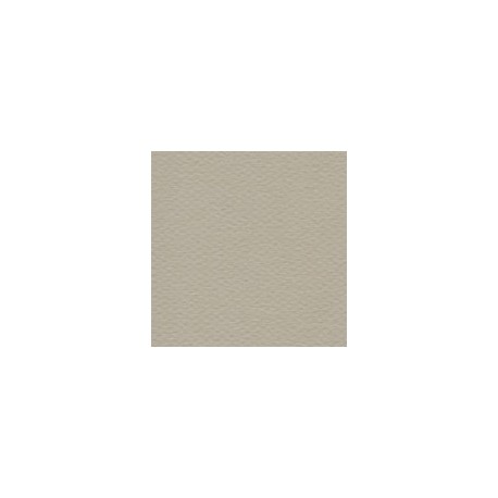 CARTULINA MI-TEINTES DE 160 G 50X65 CM