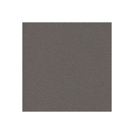 CARTULINA MI-TEINTES DE 160 G 50X65 CM