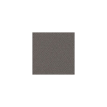 CARTULINA MI-TEINTES DE 160 G 50X65 CM