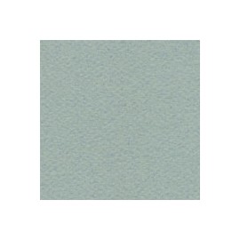 CARTULINA MI-TEINTES DE 160 G 50X65 CM