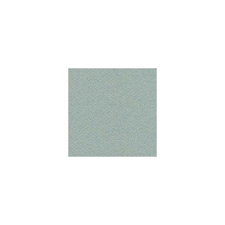 CARTULINA MI-TEINTES DE 160 G 50X65 CM