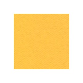 CARTULINA MI-TEINTES DE 160 G 50X65 CM