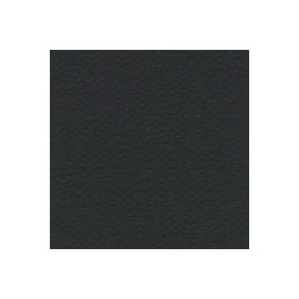 CARTULINA MI-TEINTES DE 160 G 50X65 CM