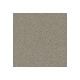 CARTULINA MI-TEINTES DE 160 G 50X65 CM