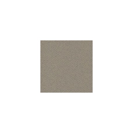 CARTULINA MI-TEINTES DE 160 G 50X65 CM
