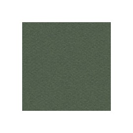 CARTULINA MI-TEINTES DE 160 G 50X65 CM