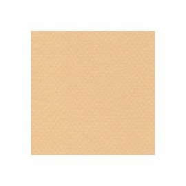 CARTULINA MI-TEINTES DE 160 G 50X65 CM
