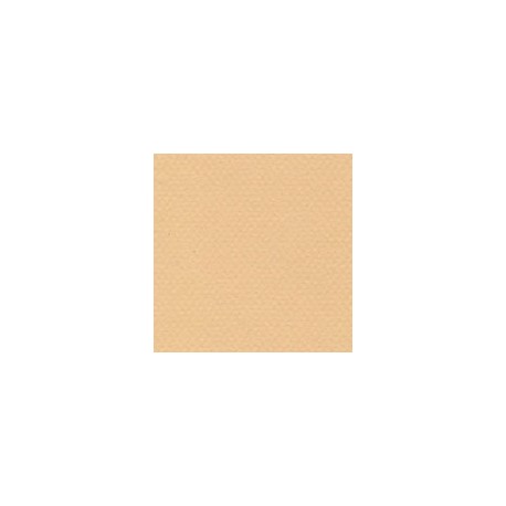 CARTULINA MI-TEINTES DE 160 G 50X65 CM