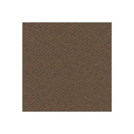 CARTULINA MI-TEINTES DE 160 G 50X65 CM