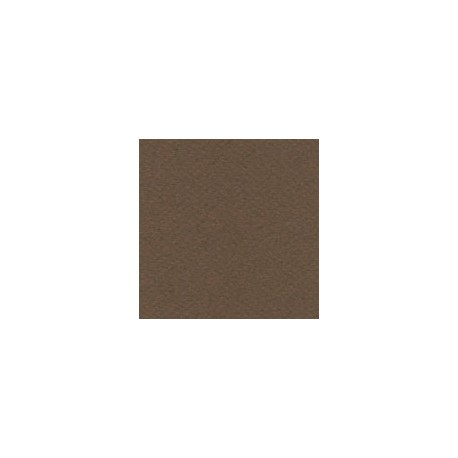 CARTULINA MI-TEINTES DE 160 G 50X65 CM