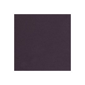 CARTULINA CLASSIC CREST DE 216 G 66X101 CM
