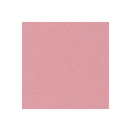 CARTULINA MI-TEINTES DE 160 G 50X65 CM