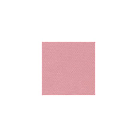 CARTULINA MI-TEINTES DE 160 G 50X65 CM