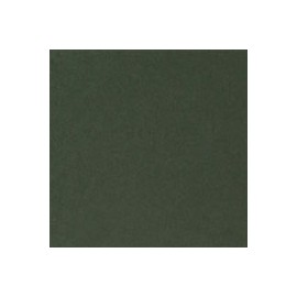 CARTULINA CLASSIC CREST DE 216 G 66X101 CM