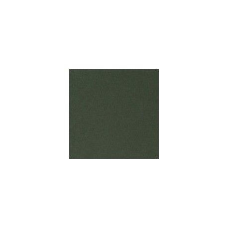 CARTULINA CLASSIC CREST DE 216 G 66X101 CM