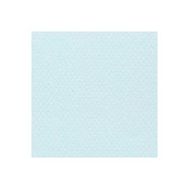 CARTULINA MI-TEINTES DE 160 G 50X65 CM