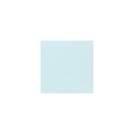 CARTULINA MI-TEINTES DE 160 G 50X65 CM