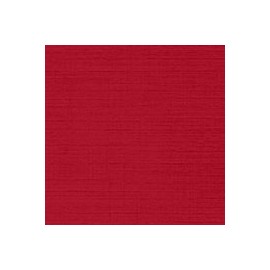 CARTULINA CLASSIC LINEN DE 216 G 66X101 CM