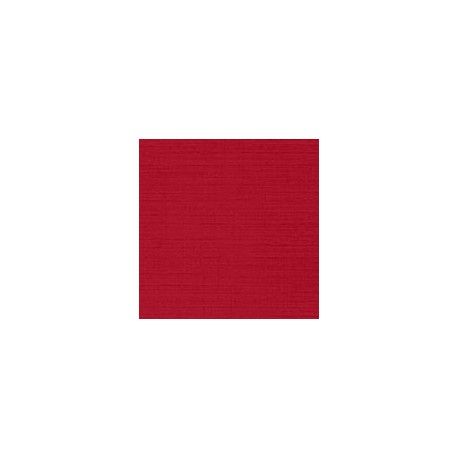CARTULINA CLASSIC LINEN DE 216 G 66X101 CM