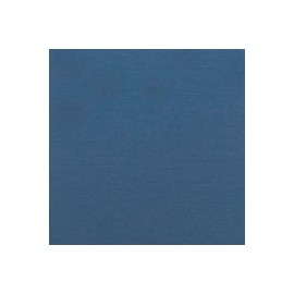 CARTULINA CLASSIC LINEN DE 216 G 66X101 CM