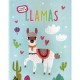 ESCUELA MÁGICA LLAMAS