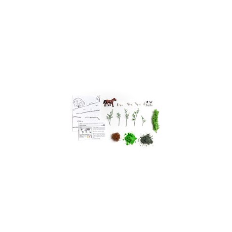 BIOMA TERRESTRE PRADERA