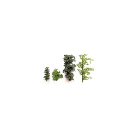 ÁRBOLES TIPO BOSQUE MEDIANO