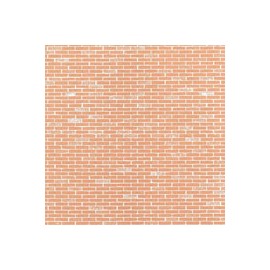 TABIQUE ROJO 20X26 CM