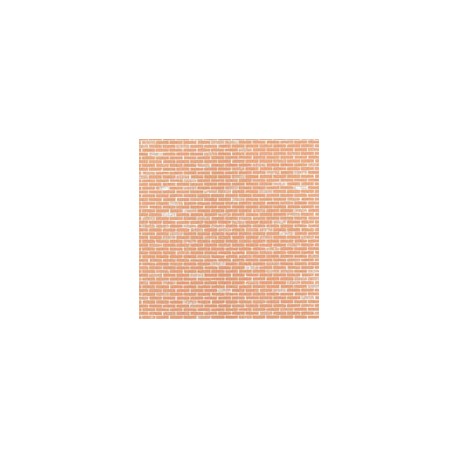 TABIQUE ROJO 20X26 CM