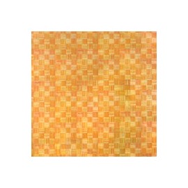 PARQUET 1 DE 20X26 CM
