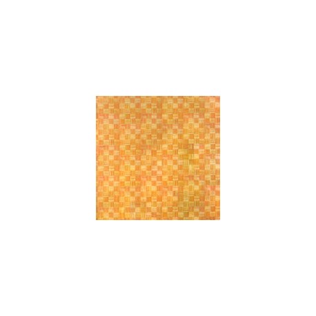 PARQUET 1 DE 20X26 CM