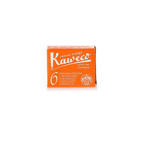 CARTUCHO DE TINTA KAWECO CAJA CON 6