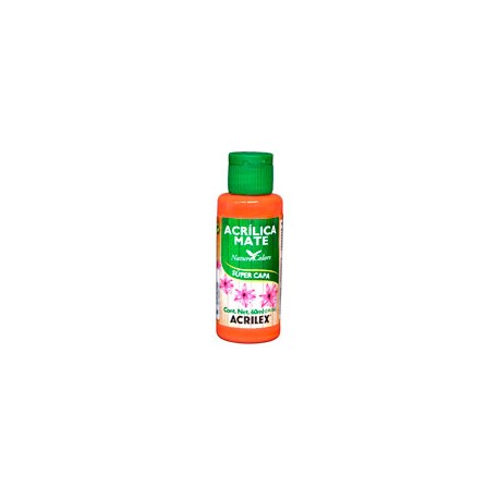 PINTURA ACRILEX NATURE COLORS 60 ML