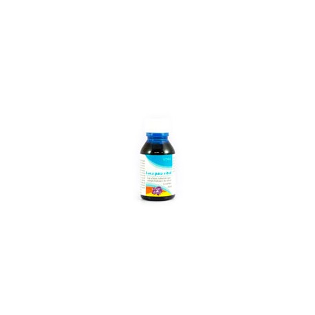 PINTURA PARA VITRAL RODIN LISA 30 ML