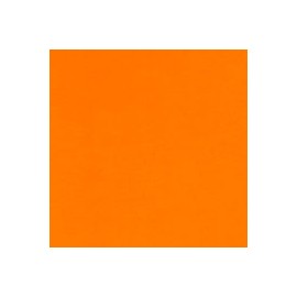 CARTULINA FLUORESCENTE 10 PUNTOS DE 48X66 CM