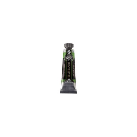 PINTURA ÓLEO ROYAL TALENS REMBRANDT 40 ML