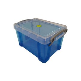 CAJA MULTIUSOS REALLY 13X19X10 CM