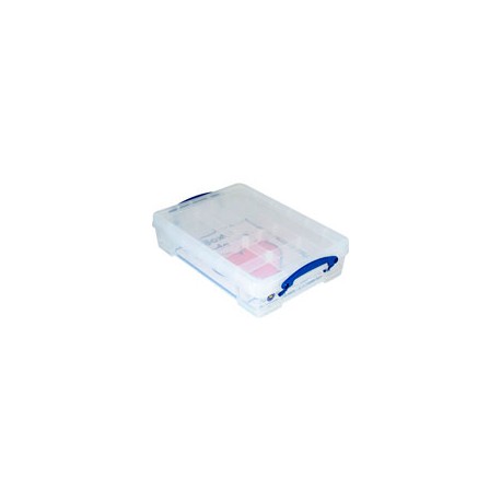 CAJA REALLY 25X39X8CM 1 CHAROLA