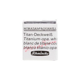 ACUARELA EN PASTILLA SCHMINCKE HORADAM S1