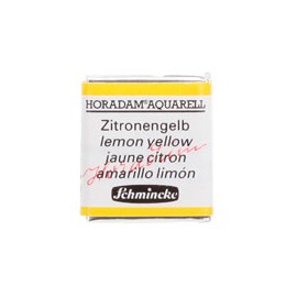 ACUARELA EN PASTILLA SCHMINCKE HORADAM S1