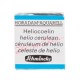 ACUARELA EN PASTILLA SCHMINCKE HORADAM S1