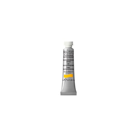 PINTURA ACUARELA WINSOR AND NEWTON ARTIST 5M ...