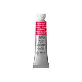 PINTURA ACUARELA WINSOR AND NEWTON ARTIST 5M ...