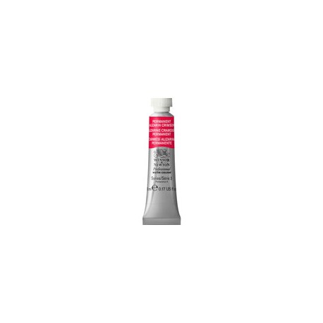 PINTURA ACUARELA WINSOR AND NEWTON ARTIST 5M ...