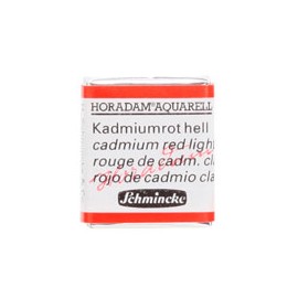 ACUARELA EN PASTILLA SCHMINCKE HORADAM S3