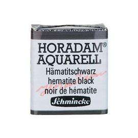 ACUARELA EN PASTILLA SCHMINCKE HORADAM S3