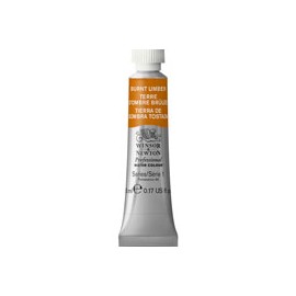 PINTURA ACUARELA WINSOR AND NEWTON ARTIST 5M ...