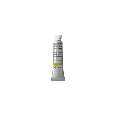 PINTURA ACUARELA WINSOR AND NEWTON ARTIST 5M ...