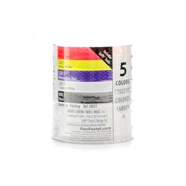 PANPASTEL COLORES BÁSICOS CON 5