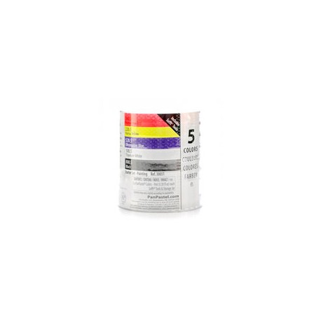 PANPASTEL COLORES BÁSICOS CON 5